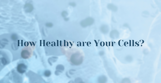 Optimum Health Starts at the Cellular Level