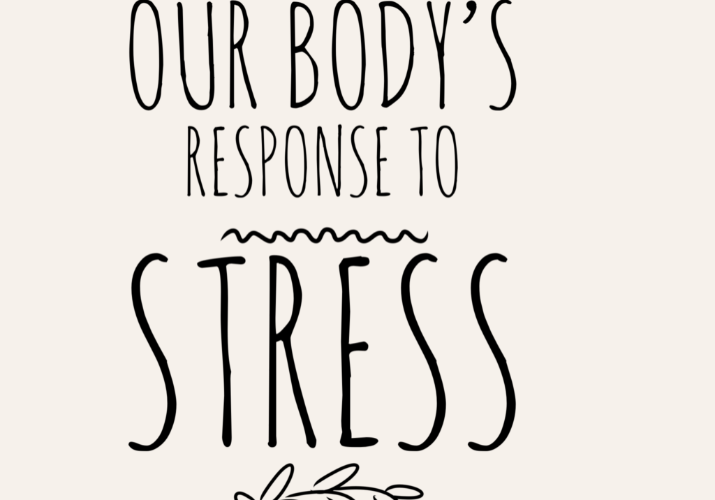 Our Body's Response to Stress pic